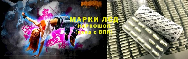 шишки Арсеньев